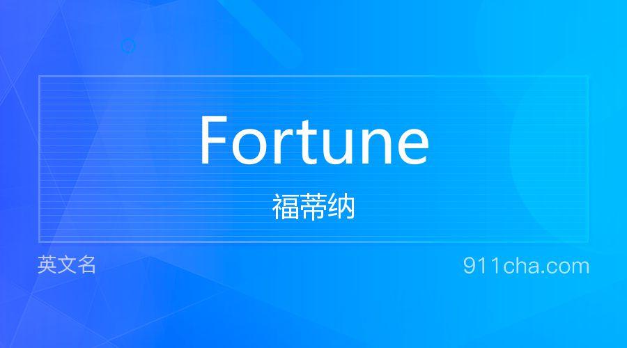 fortune是什么意思-fortune是什么意思中文