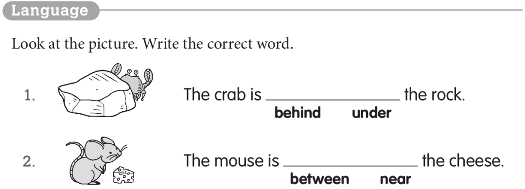 preposition-preposition有復(fù)數(shù)嗎