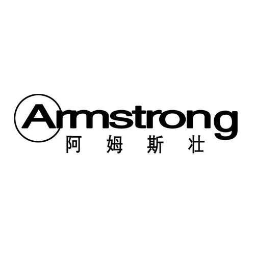 armstrong-armstrong名字寓意