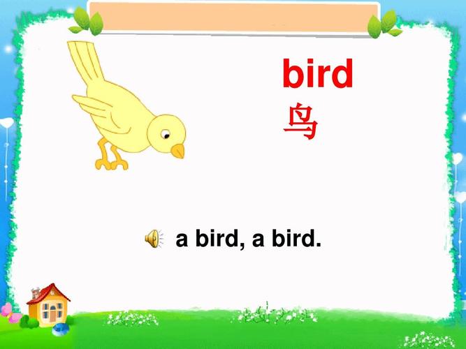 鳥(niǎo)的英文-鳥(niǎo)的英文怎么讀