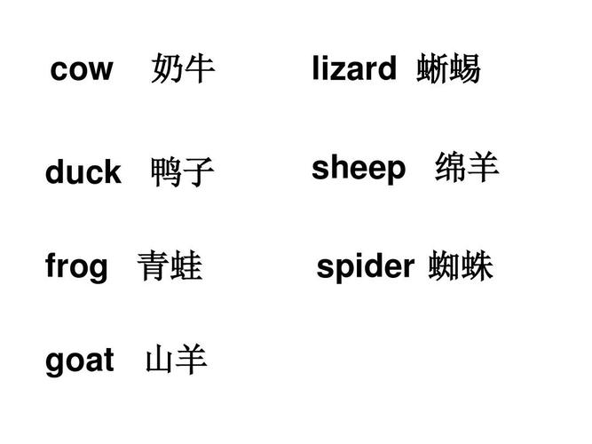 SHEEP的復(fù)數(shù)形式-sheep的復(fù)數(shù)形式怎么寫