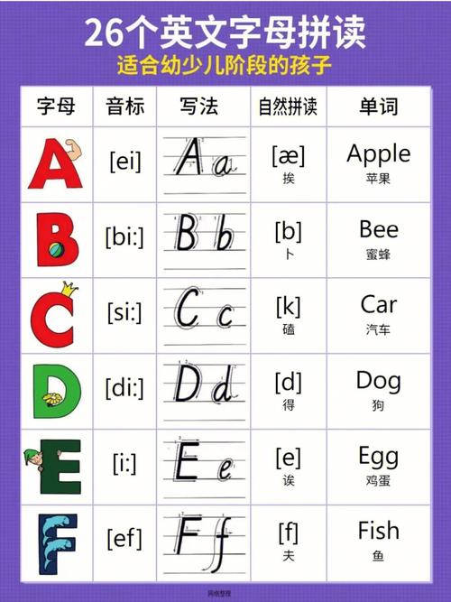 26個字母的發(fā)音-26個字母的發(fā)音音標自然拼讀