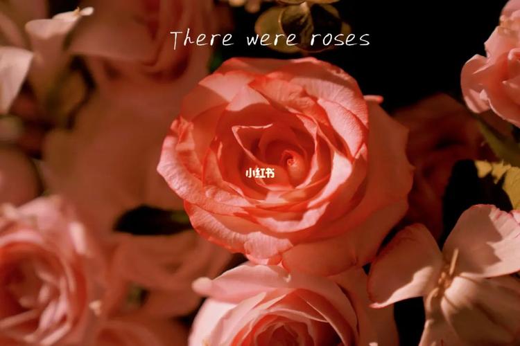 there were roses-there were roses歌詞