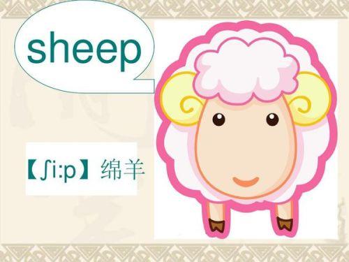 sheep的復(fù)數(shù)-sheep的復(fù)數(shù)形式