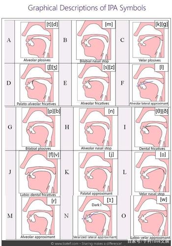 純正英語(yǔ)發(fā)音-純正英語(yǔ)發(fā)音技巧舌位圖