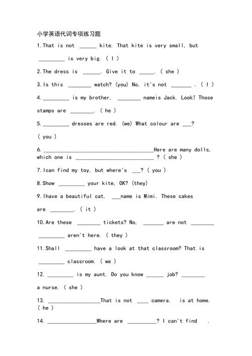 代詞練習(xí)題-小學(xué)代詞專項訓(xùn)練題